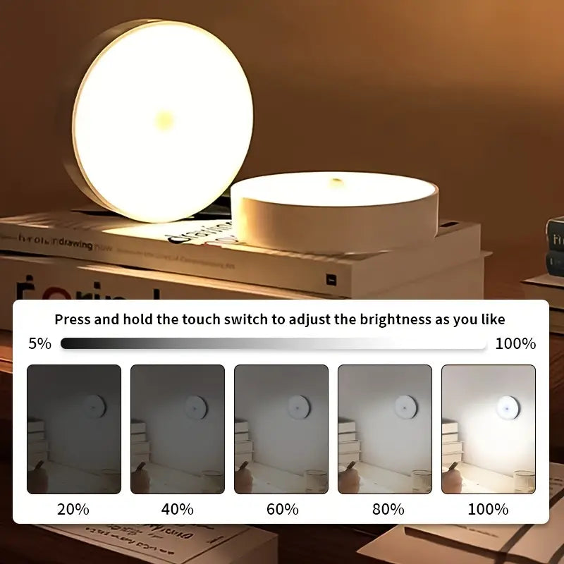 Motion Sensor Light