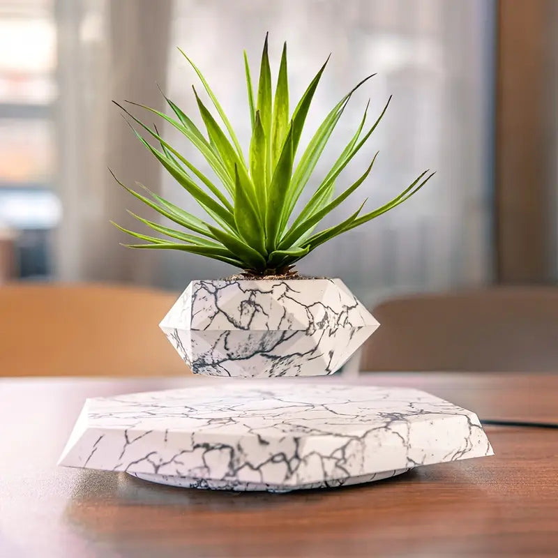 Levitating Plant
