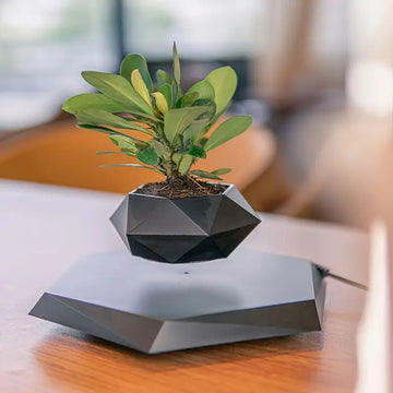 Levitating Plant